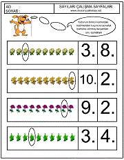 sıra kavramı ile ilgili örnek çalışmalar